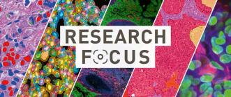 bannière title research focus
