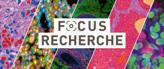 header_focus_recherche_fr
