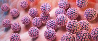 Illustration virus HPV