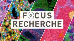 header_focus_recherche_fr