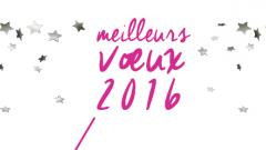 Meilleurs voeux 2016